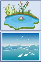 Vorschau - Präsentationen/Tafelbilder - Aggregatzustände des Wassers Tafelmaterial - Seite 2