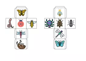Vorschau - Spiele - Vokabel-Würfel - Tiere - Insekten - Seite 1