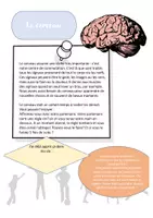 Vista previa - Hojas de trabajo - Hoja de trabajo: El cerebro (frances) - Portada