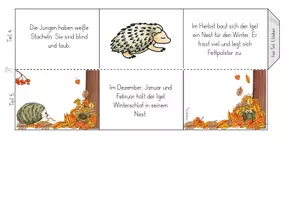 Vorschau - Mal- und Bastelvorlagen - Leporello - Der Igel - Igeljahr - Seite 2