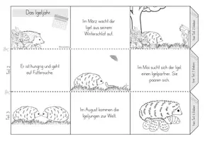 Vorschau - Mal- und Bastelvorlagen - Leporello - Der Igel - Igeljahr - Seite 3