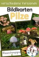 Vorschau - Präsentationen/Tafelbilder - Bildkarten Pilze - verschiedene Versionen - Deckblatt