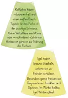 Vorschau - Poster - Tiere des Waldes - Legekreis - Seite 2