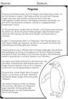Vorschau - Stationenlernen - Pinguin Sachunterricht Infopaket - Seite 1