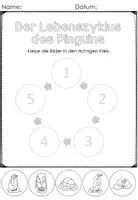 Vorschau - Stationenlernen - Pinguin Sachunterricht Infopaket - Seite 3