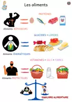 Aperçu - Inclusion - Les aliments Sciences Cm1 - Page 1