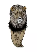 Vorschau - Mal- und Bastelvorlagen - Löwen Tiermotiv (Bildkarte, Poster Malen & Zeichnen, Malvorlagen, Tiere Kunst) - Deckblatt