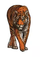 Vorschau - Spiele - Tiger Tiermotiv (Bildkarte, Poster Malen & Zeichnen, Malvorlagen, Tiere Kunst) - Deckblatt