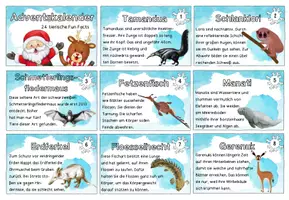 Vorschau - Aufgabenkarten - Adventskalender | 24 tierische Fun Facts | Spannendes aus der Tierwelt - Seite 2
