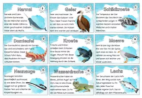 Vorschau - Aufgabenkarten - Adventskalender | 24 tierische Fun Facts | Spannendes aus der Tierwelt - Seite 3