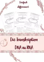 Vorschau - Arbeitsblätter - Biologie, Genetik: Die Transkription der DNA - Deckblatt