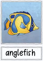 Aperçu - Cartes / Images - Sea Animals - Flashcards for ESL Learners - Page 2