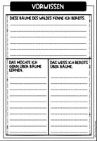 Vorschau - Arbeitsblätter - Laub- und Nadelbäume (heimische Bäume) - Forschungsheft (Arbeitsblätter + Lösungen) - Seite 2