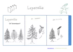 Vorschau - Arbeitsblätter - Oh, Tannenbaum - Leporello zu heimischen Nadelbäumen - Seite 1