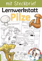 Vorschau - Arbeitsblätter - Lernwerkstatt Pilze - mit vielen Arbeitsblättern - Deckblatt