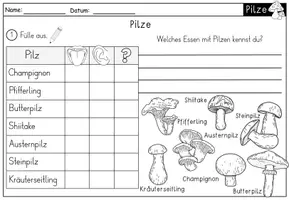 Vorschau - Arbeitsblätter - Lernwerkstatt Pilze - mit vielen Arbeitsblättern - Seite 3