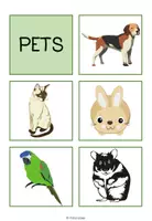 Vorschau - Bildkarten - Pets Bild- und Wortkarten - Seite 2
