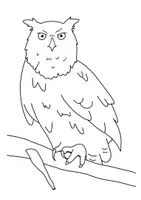 Vorschau - Arbeitsblätter - Ausmalbilder zum Thema Eule - Seite 1