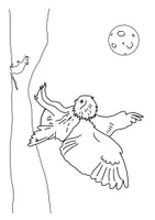 Vorschau - Arbeitsblätter - Ausmalbilder zum Thema Eule - Seite 2