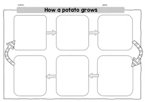 Vorschau - Arbeitsblätter - A potato grows - Kartoffelwachstum - bilingualer Sachunterricht - Seite 1