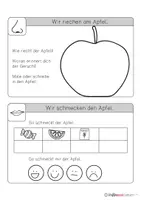 Vorschau - Arbeitsblätter - HSU: Der Apfel - mit allen Sinnen (Stationen) - Seite 2