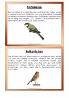 Vorschau - Stundenentwürfe - Heimische Vögel - Seite 3