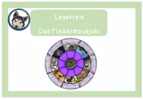 Vorschau - Unterrichtsreihen - XL großes Materialpaket Fledermaus - Seite 1