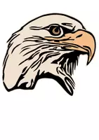Vorschau - selbst erstellte Cliparts/Grafiken - Adler Tiermotiv (Bildkarte, Poster Malen & Zeichnen, Malvorlagen, Tiere Kunst) - Deckblatt