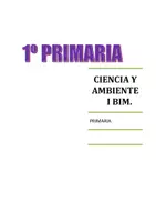 Vista previa - Unidades / Secuencias / Situaciones de Aprendizaje - CIENCIA Y AMBIENTE 1ER GRADO CUADERNO DE PRÁCTICA - página 1