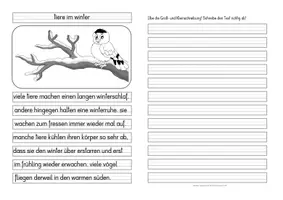 Vorschau - Arbeitsblätter - Groß- oder Kleinschreibung TIERE IM WINTER - Seite 1