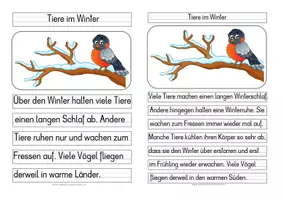 Vorschau - Arbeitsblätter - Groß- oder Kleinschreibung TIERE IM WINTER - Seite 2