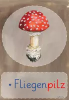 Vorschau - Poster - Pilze: Tafelmaterial (1./2. Klasse) - Seite 3