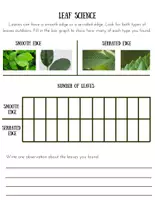 Vista previa - Unidades / Secuencias / Situaciones de Aprendizaje - Leaf Science: Ciencia de las hojas (actividad en inglés: CLIL) - página 3