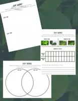 Vista previa - Unidades / Secuencias / Situaciones de Aprendizaje - Leaf Science: Ciencia de las hojas (actividad en inglés: CLIL) - Portada