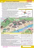 Vorschau - Arbeitsblätter - Orientierung im Vogelschauplan - Seite 2