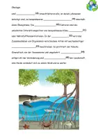 Vorschau - Stundenentwürfe - Grundbegriffe der Ökologie Aufgaben Grafiken Lösungen - Seite 3