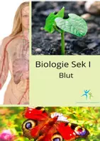 Vorschau - Stundenentwürfe - Das Blut und seine Bestandteile Grafiken Aufgaben Lösungen - Deckblatt