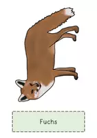 Vorschau - Arbeitsblätter - Die Tiere des Waldes - Seite 3