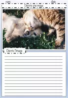 Aperçu - Feuilles d'exercices - Décrire une image: les animaux, feuilles de travail (éditable) - (allemand-français) - Page 3