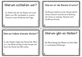 Vorschau - Aufgabenkarten - 24 Frage- und Antwortkarten (Sachunterricht, Allgemeinbildung, Vertretungsstunde) - Seite 2