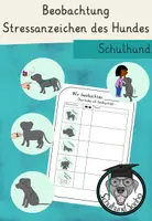 Vorschau - Arbeitsblätter - Beobachtung Stressanzeichen des Hundes - Deckblatt