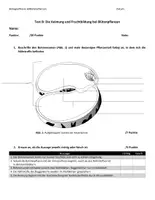Vorschau - Test - Test Keimung Fruchtbildung Biologie Kl. 6 Biologie - Seite 2