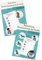 Vorschau - Arbeitsblätter - Materialpaket Beobachtung des Hundes - Stressanzeichen und Beschwichtigunssignale - Deckblatt