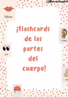 Aperçu - Cartes / Images - Flashcards des parties du corps en espagnol! - Page de couverture