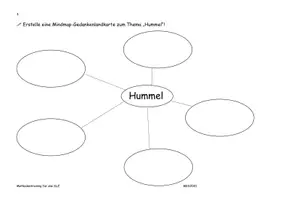 Vorschau - Arbeitsblätter - ABs zu den Methoden für das SLZ am Thema Hummel - Seite 2