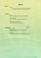 Vorschau - Mal- und Bastelvorlagen - Schokolinsen Dankeschön - Abschiedsgeschenk - Seite 2