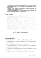 Vorschau - Unterrichtsreihen - Höhlenmalerei - Farbauftrag im Großformat - Seite 3