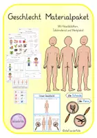 Vorschau - Arbeitsblätter - Geschlecht - Junge und Mädchen - Materialpaket - Deckblatt