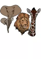 Vorschau - Spiele - Grafik Materialpaket: Tiere von Afrika - Deckblatt