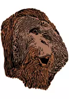 Vorschau - selbst erstellte Cliparts/Grafiken - Orang-Utan Affen Tiermotiv (Bildkarte, Poster Malen & Zeichnen, Malvorlagen, Tiere Kunst) - Deckblatt